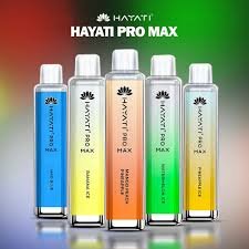 Hayati Pro Max Vape: A High-Capacity Disposable Vape for Every Vaper