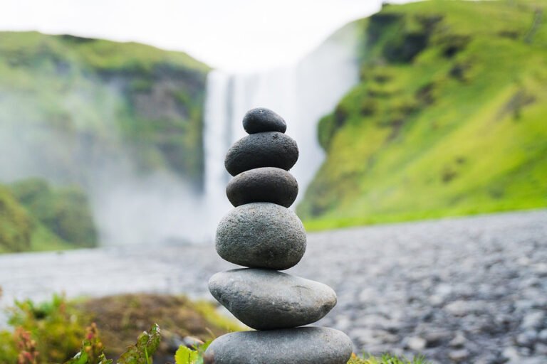 The Art of Balancing Short and Long Term Goals with Limited Resources