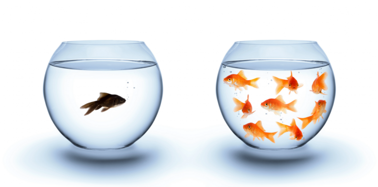 The Value of Community for Emerging and Growing Entrepreneurs