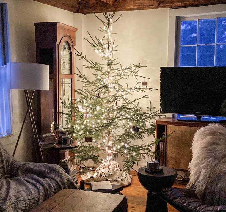 What’s the Least Toxic, Chemical-Free Christmas Tree Option for Your Home?