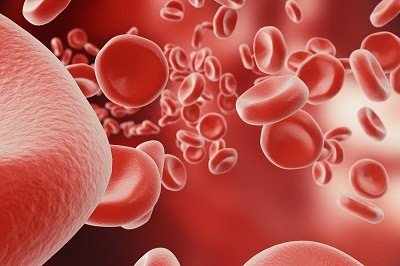 Boosting Your Hemoglobin: Low Hemoglobin Causes, Symptoms, and Treatments