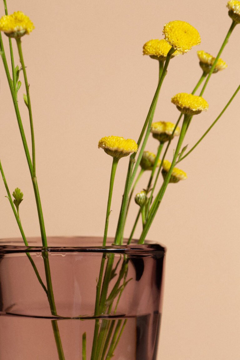 The Glowing Skin Tonic Recipe
– omayma skin